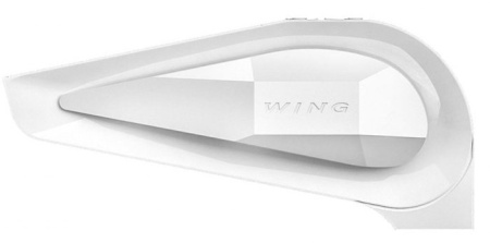 WING С100 (EC)