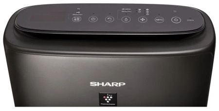 Sharp KIN41RH